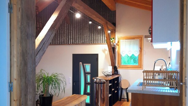 A wooden interior with a kitchen area, a staircase, and a potted plant.