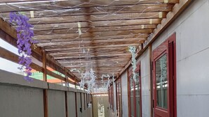 Un pasillo con techo de madera, césped artificial verde y paredes blancas.