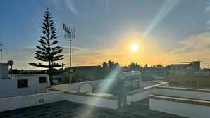 A rooftop terrace with a large tree, a satellite dish, and a water tank.