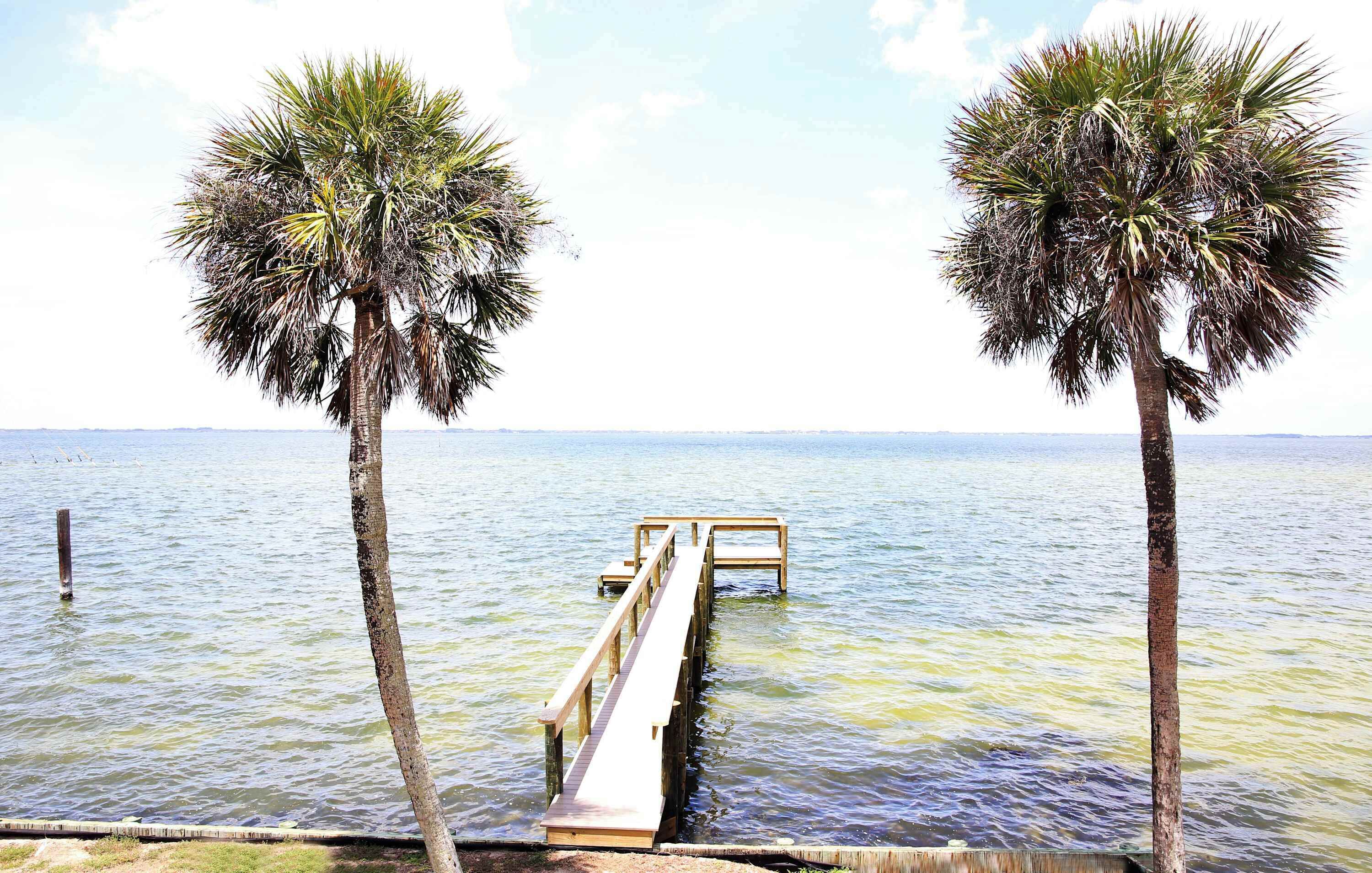 A wooden dock extending into calm water, flanked by two palm trees.
