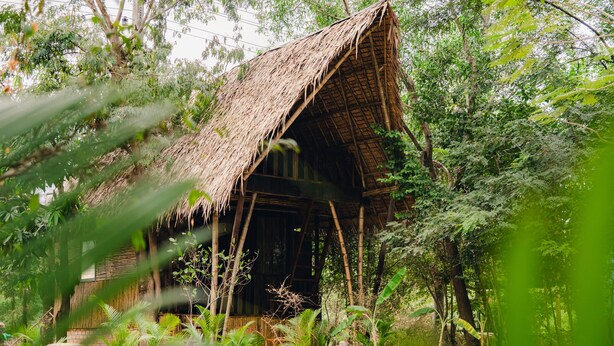 A thatched-roof structure surrounded by dense foliage.