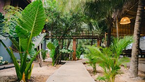 A pathway leading through a lush garden with large tropical plants and a rustic wooden structure in the background.