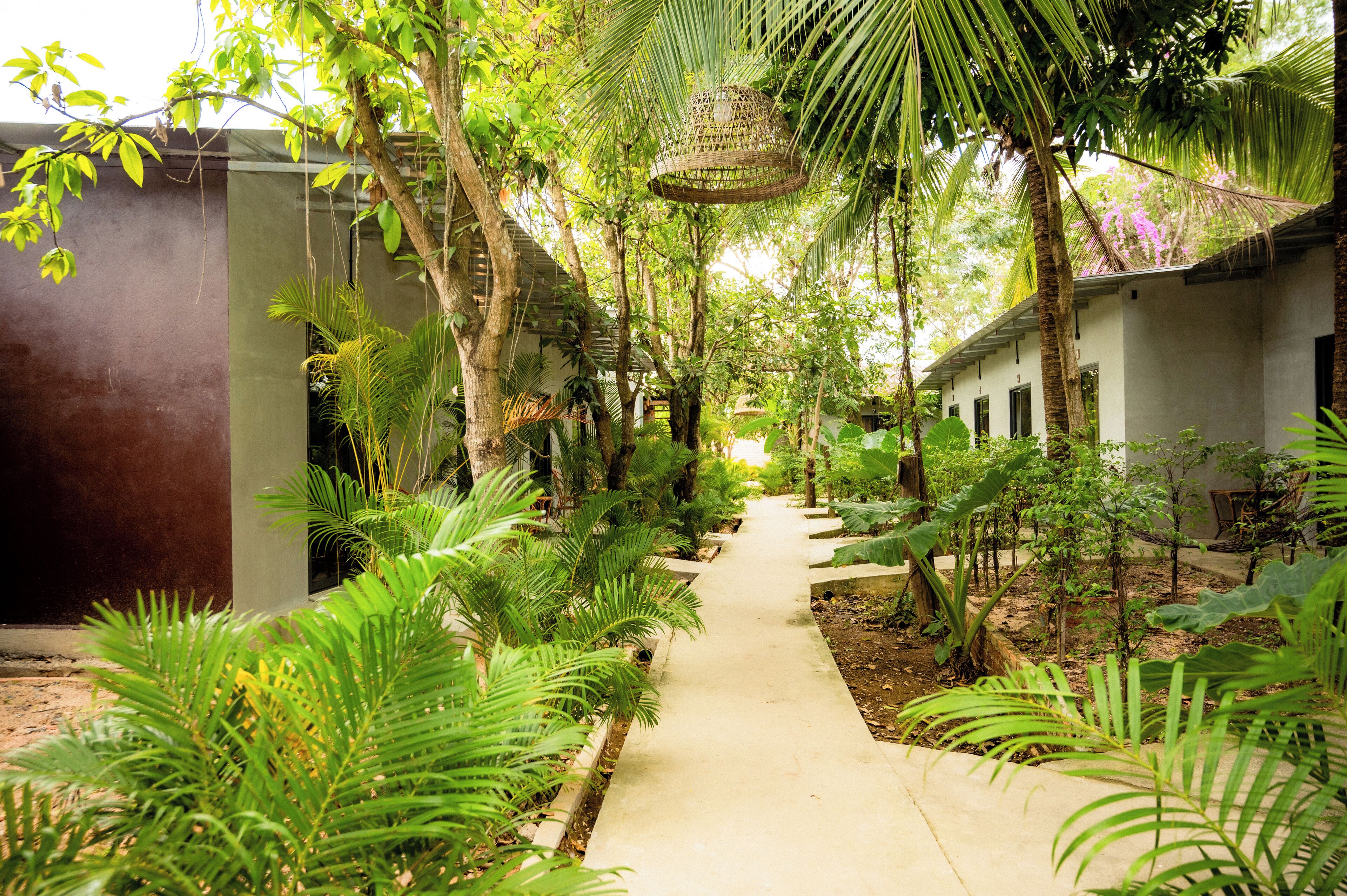 Foto - River Nest Hostel