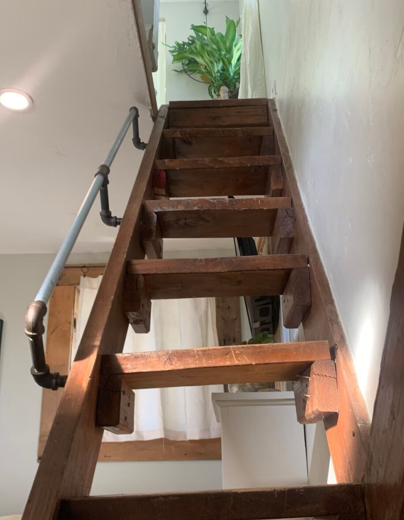 Un escalier en bois avec des rampes en métal et une plante en arrière-plan.