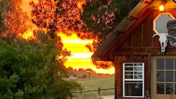 DĂ©tail de lâextĂ©rieur