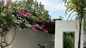 A white building with a wooden deck, a potted plant, and a window. - Riva Boutique Resort Koh Chang (Ko Chang)