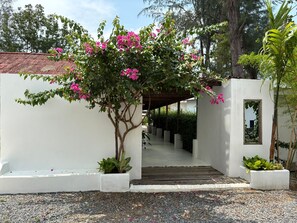 Un sendero conduce a una zona techada con un muro blanco y un árbol de flores rosadas.