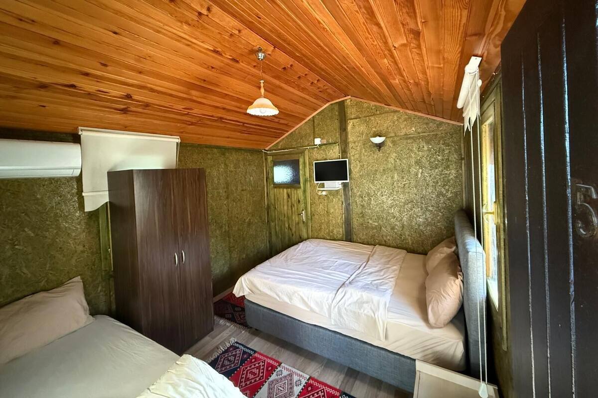 A room with two beds, a wardrobe, a television, and a ceiling fan.