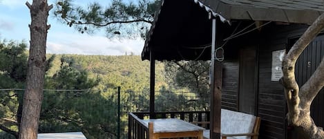Una cabaña rústica con un porche de madera, mesas de picnic y una zona de estar cubierta.
