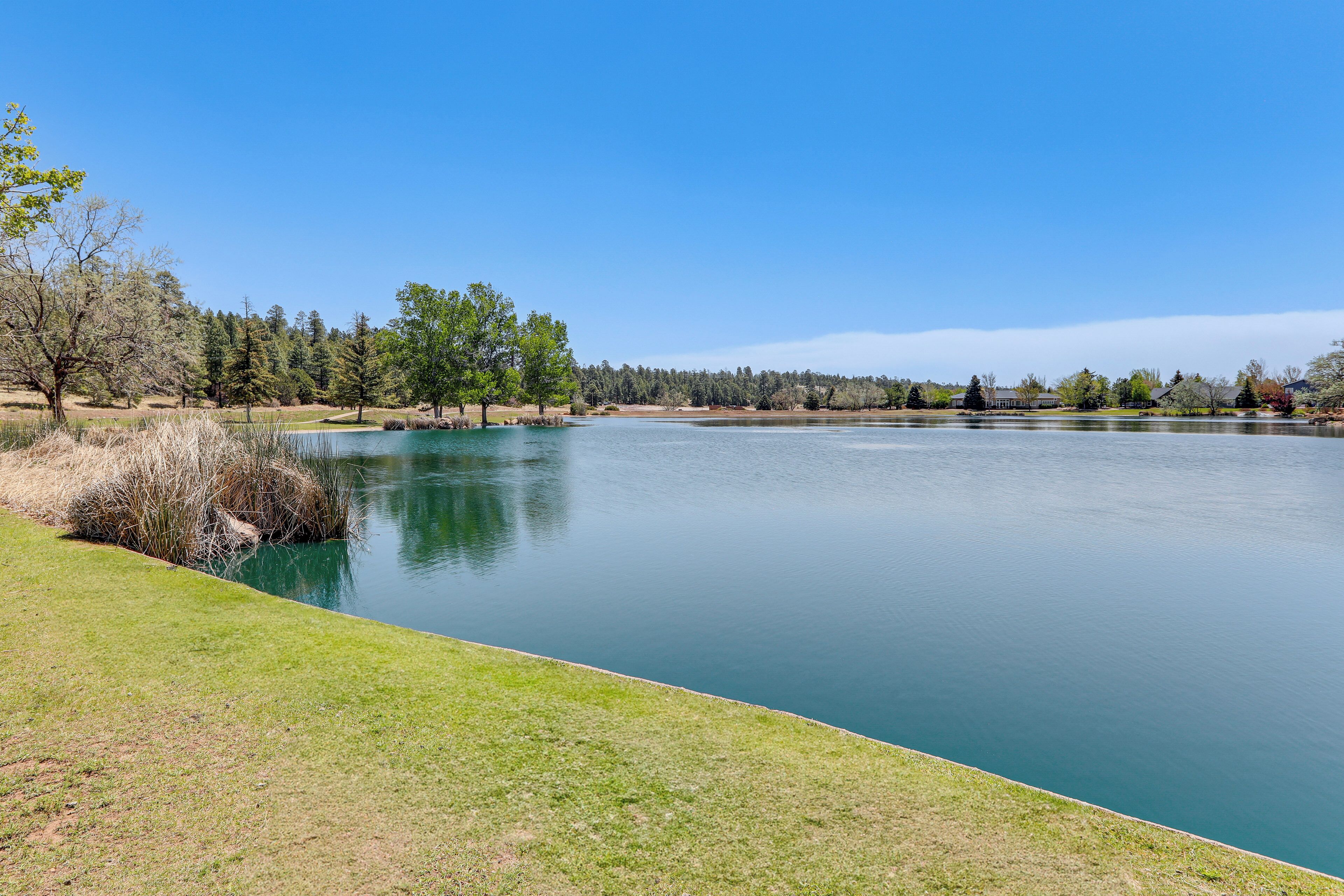 A serene lake with a grassy shoreline, surrounded by trees and a clear sky.