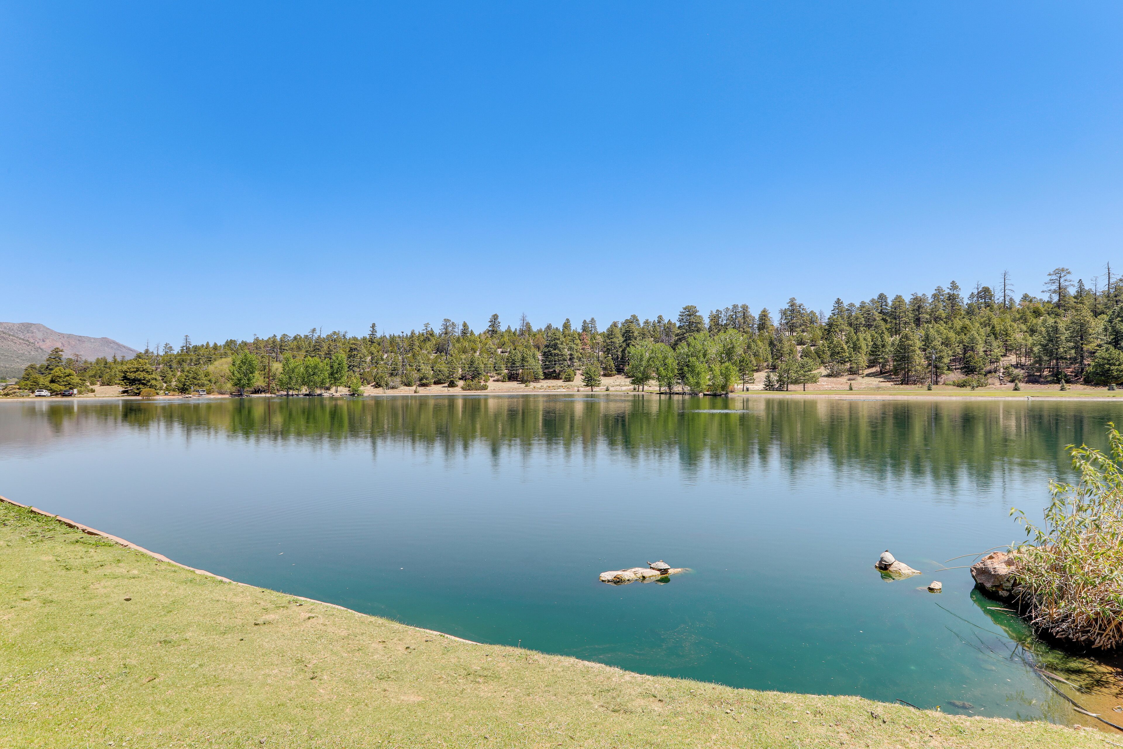 A calm lake with a grassy shoreline, surrounded by trees and a distant mountain.