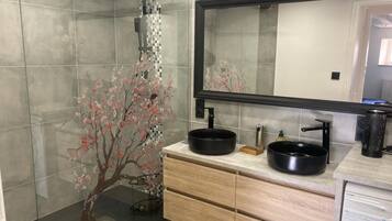 Regadera, secadora de cabello, toallas, papel de baño