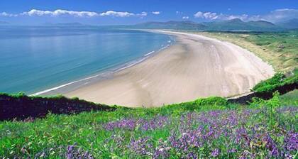 Cysgod Idris Cottage in Dolgellau, Eryri / Snowdonia