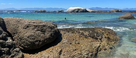 House, 3 Bedrooms, Smoking, Balcony | Beach