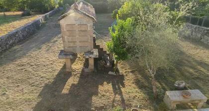 House pontevedra, enjoys tranquility 5 min from the beach and 3 min from downtown