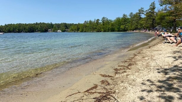 Una playa con agua cristalina, orilla arenosa y árboles al fondo.