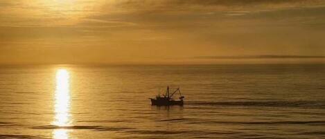 A boat on calm waters during sunset.