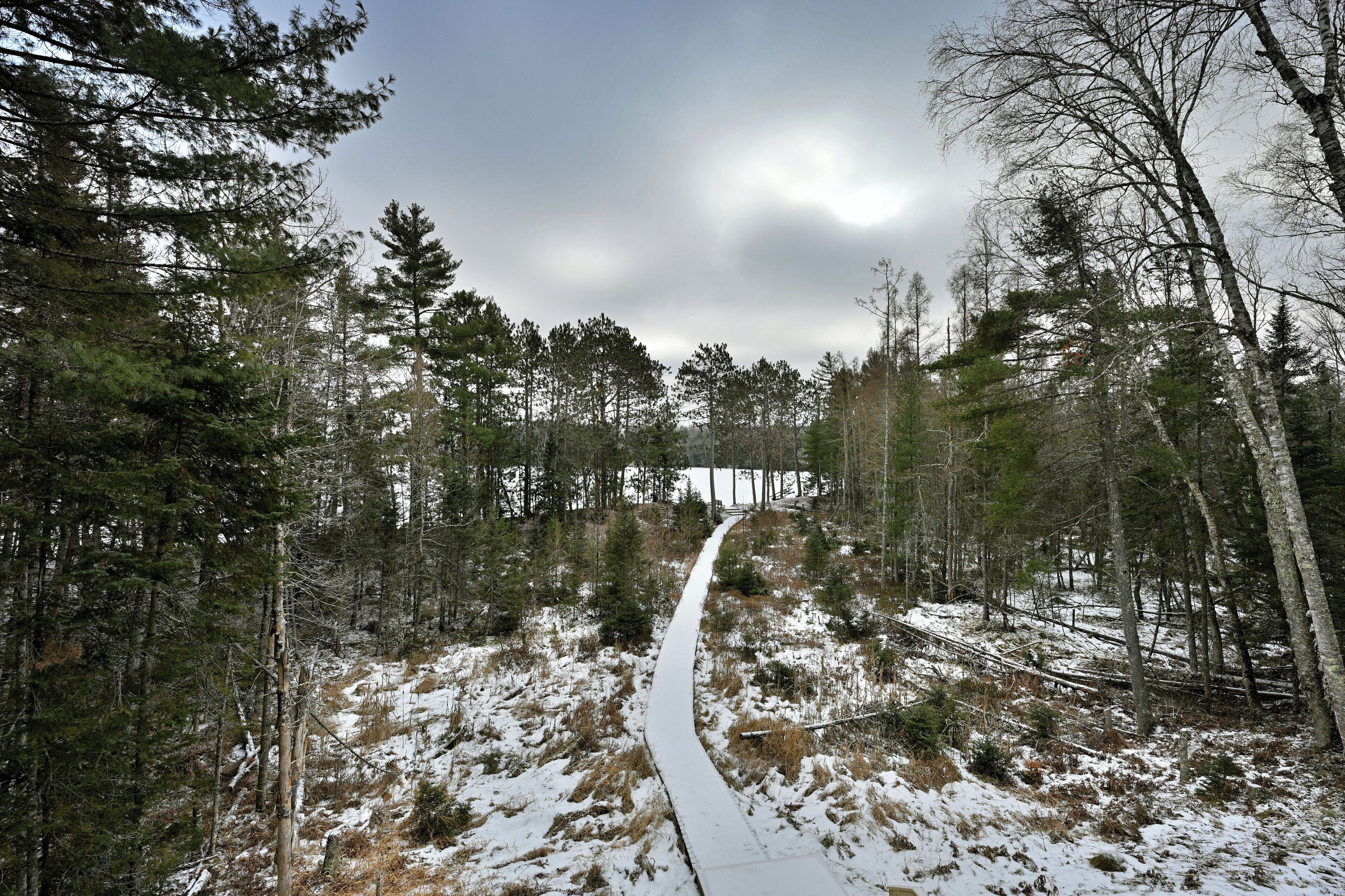 A snow-covered forest trail with a wooden boardwalk.