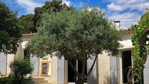 A house with a well-maintained lawn, a large tree in front, and a staircase leading to the entrance. - Candau Villa, a green haven with a wooded garden and a pool, 5min from Avignon (Les Angles)