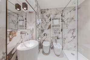Shower, hair dryer, bidet, towels