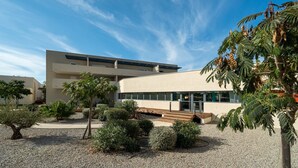 A modern building with a flat roof, large windows, and a gravel courtyard with various shrubs and a palm tree. - Villa with garden near the beach for 6 pers (Sérignan)