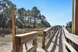 Walk along the boardwalk through a serene natural landscape.