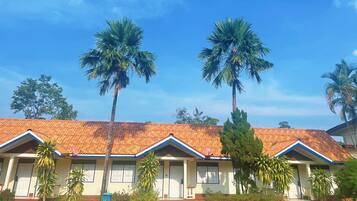 Economy Double Room, Garden View | Free WiFi