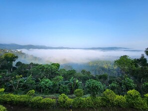 Hill view - I-ROOMZ Donimoole Homestay (Mudigere)