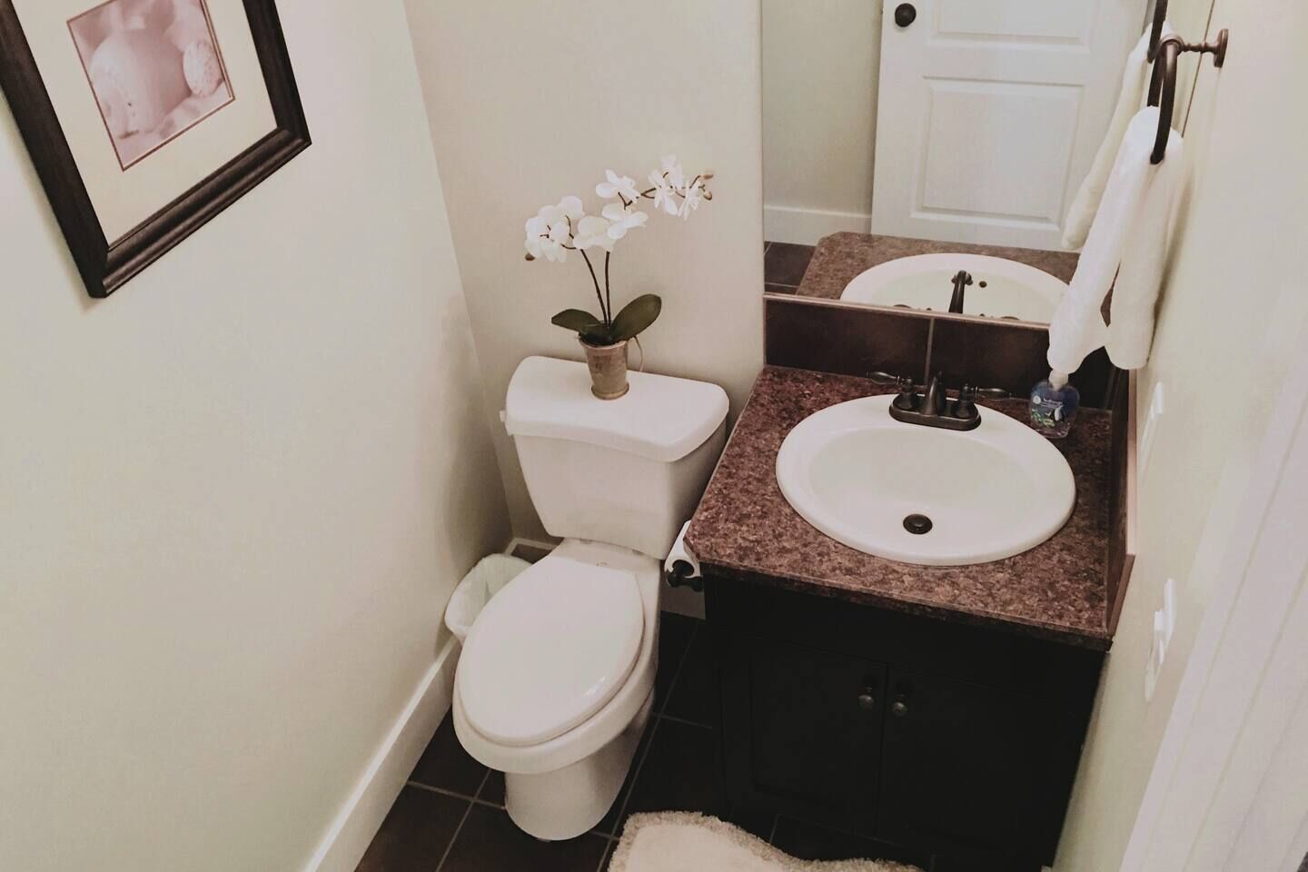 Une petite salle de bain avec des toilettes, un lavabo et un tableau encadré au mur.