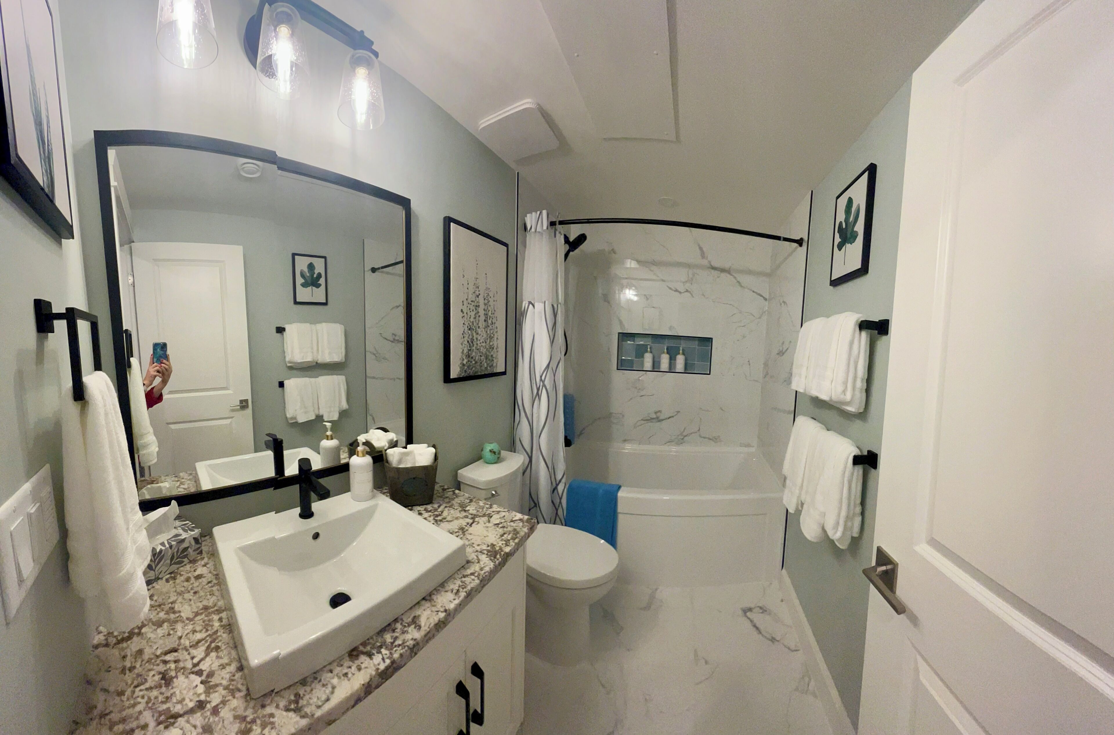 Hair dryer, towels, soap, toilet paper