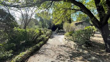 Terrein van de accommodatie