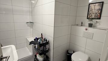 Shower, hair dryer, soap, toilet paper