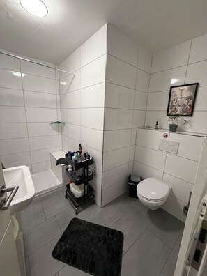 Shower, hair dryer, soap, toilet paper
