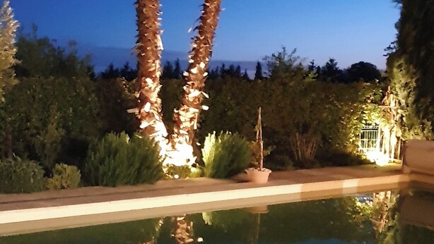 A nighttime view of a pool area with tall palm trees and a clear sky. - CalypSo Luxury Mas Madeleine in Provence (Arles)