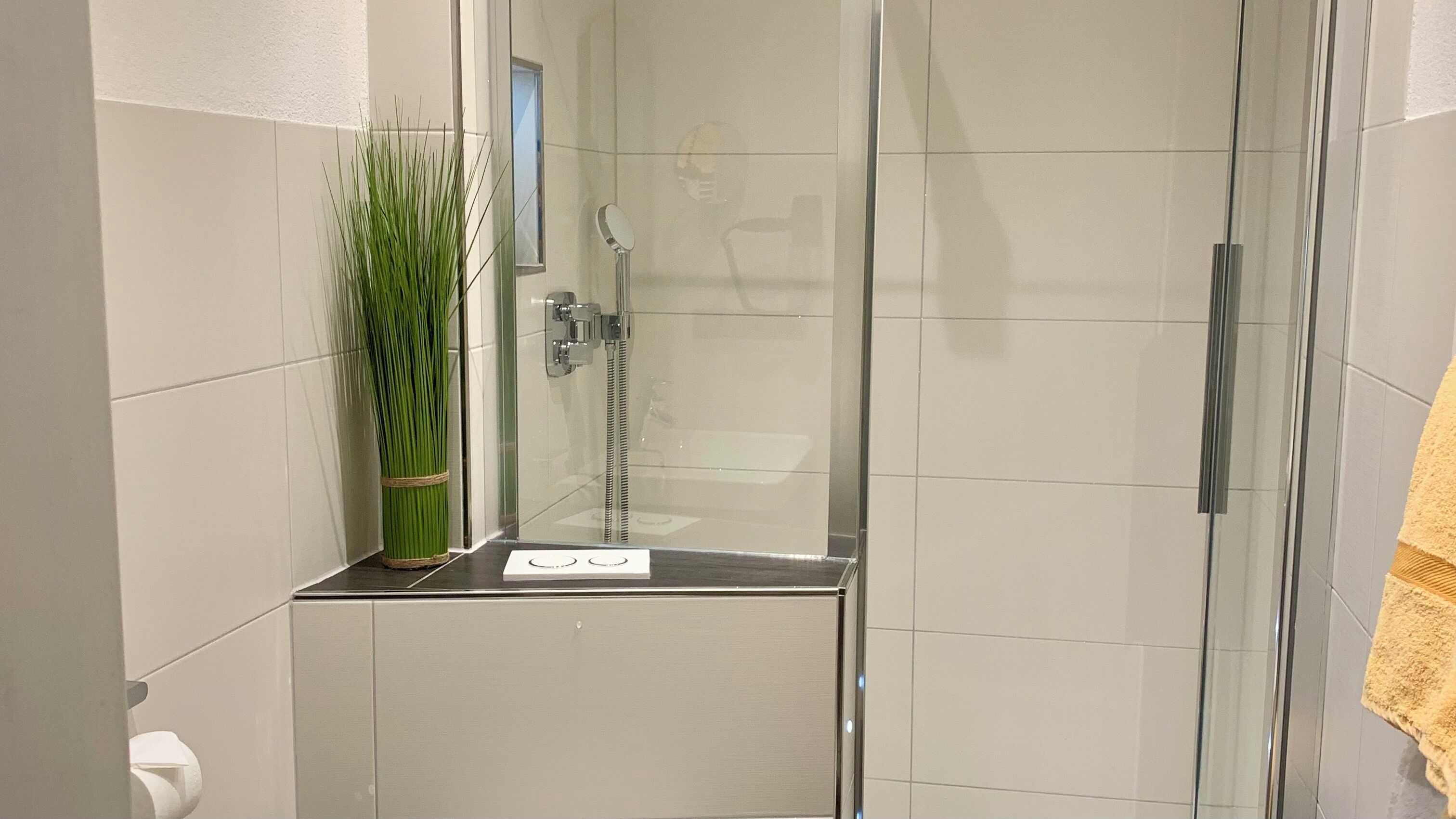 A modern bathroom with a glass shower enclosure, a toilet paper holder, and a potted plant.
