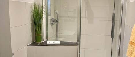 A modern bathroom with a glass shower enclosure, a toilet paper holder, and a potted plant.