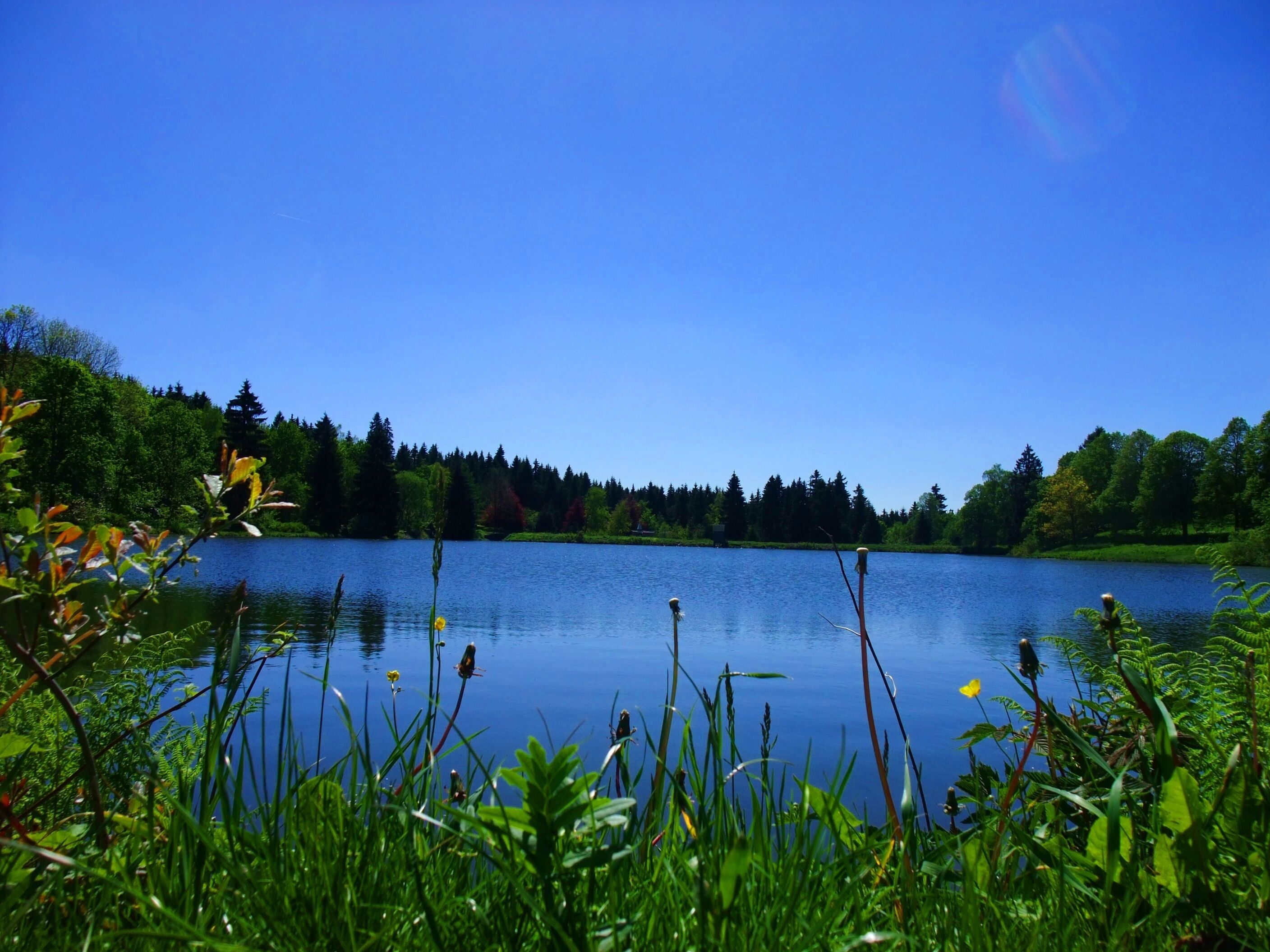 Ulkopuoli