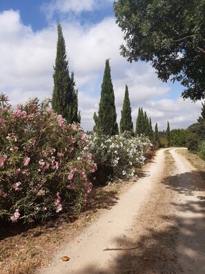 Parco della struttura