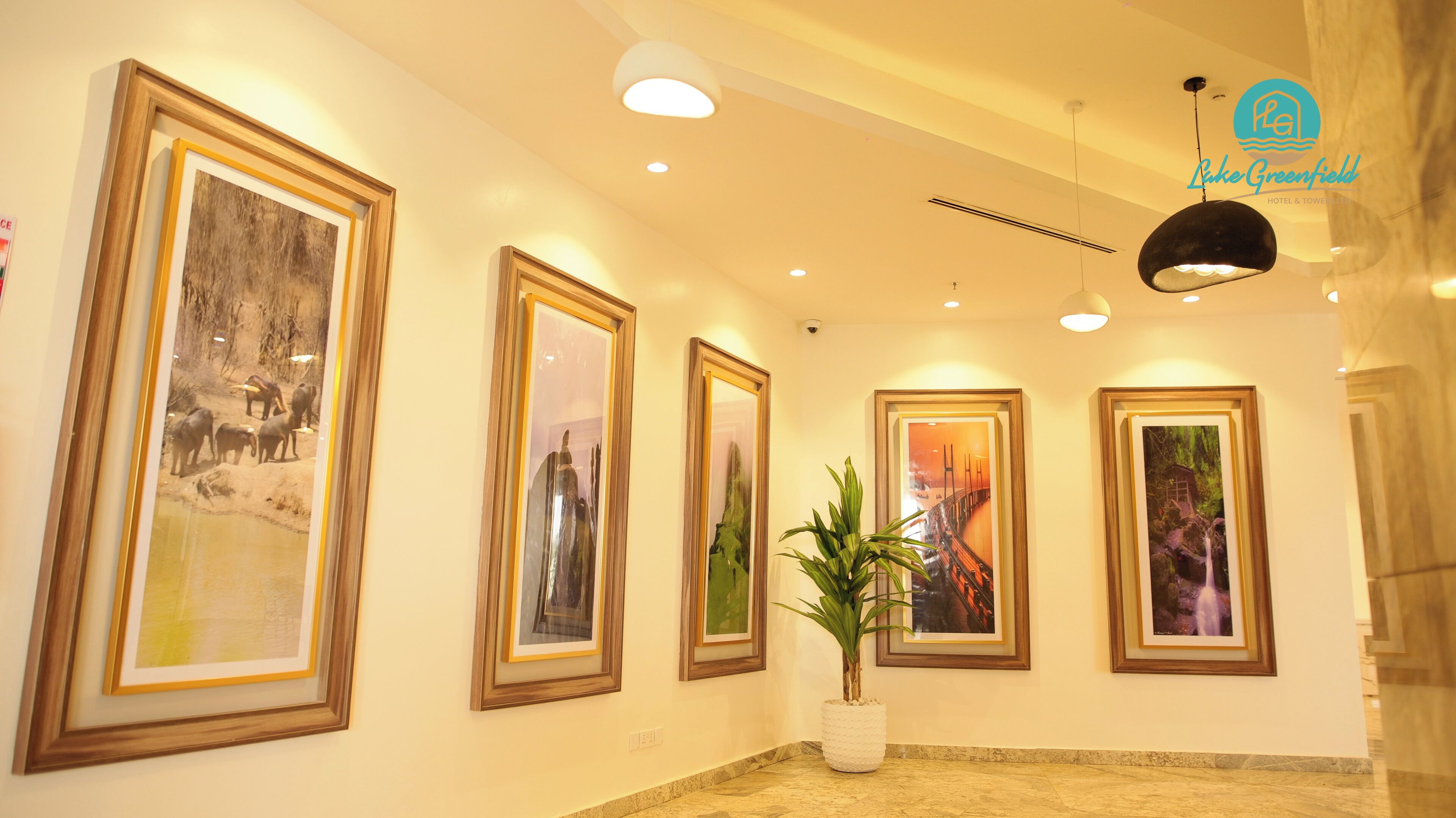 A hallway with framed artwork on the walls, a potted plant, and a modern ceiling light fixture.