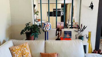 Televisie, een open haard en boeken