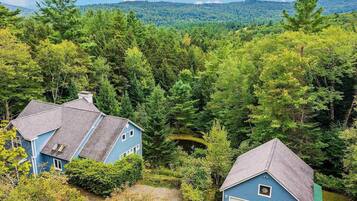 Zona residencial con dos casas azules rodeadas de un bosque frondoso y una montaña al fondo.