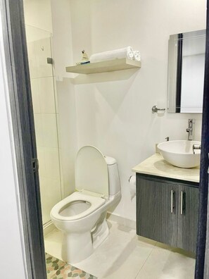 Shower, hair dryer, soap, toilet paper