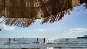 Escena de playa con un paraguas de paja, arena y el océano.