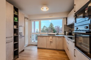 Kühlschrank, Mikrowelle, Ofen, Herdplatte
