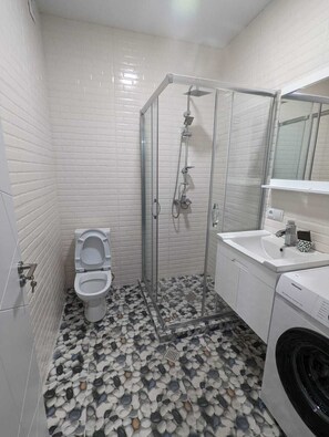 Shower, towels, toilet paper