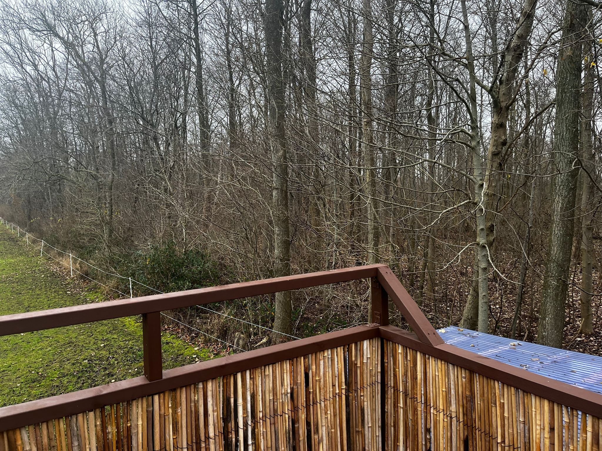 Eine Holzterrasse mit Metallgeländer, das auf einen bewaldeten Bereich blickt.
