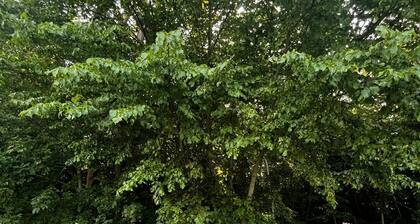 Sønderborg in Denmark