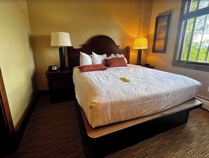 1 slaapkamer, een strijkplank/strijkijzer, wifi, beddengoed