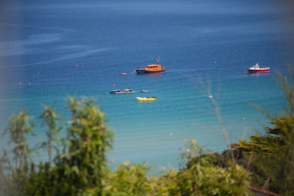 A coastal scene with boats on calm water, surrounded by greenery.