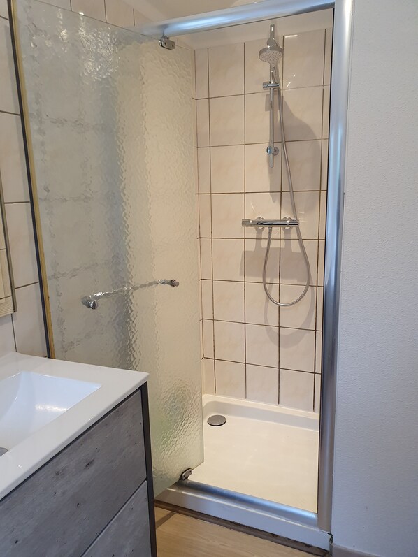 Shower, towels, toilet paper